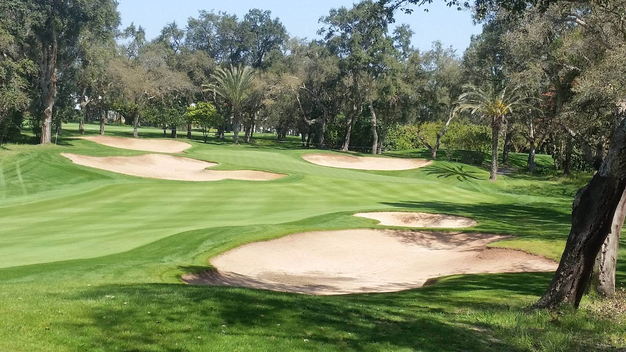 A parkland course, Royal Golf Dar Es Salam provides many challenges to your round