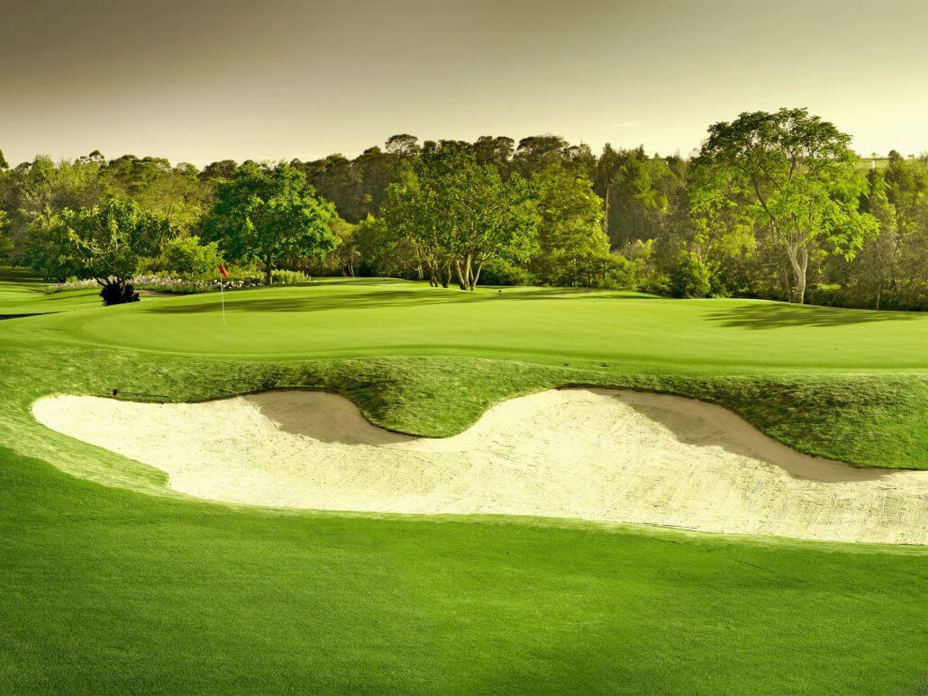 Bunker next to green on Montagu Course, Fancourt Resort, The Garden Route, South Africa