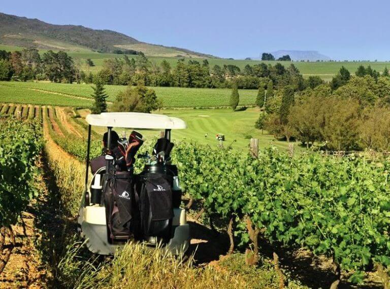 Golf Cart in vineyard at Devonvale Golf and Wine Estate, Stellenbosch, South Africa