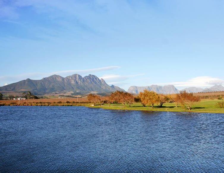 View of a lake at Devonvale golf and wine Estate, Stellenbosch, South Africa