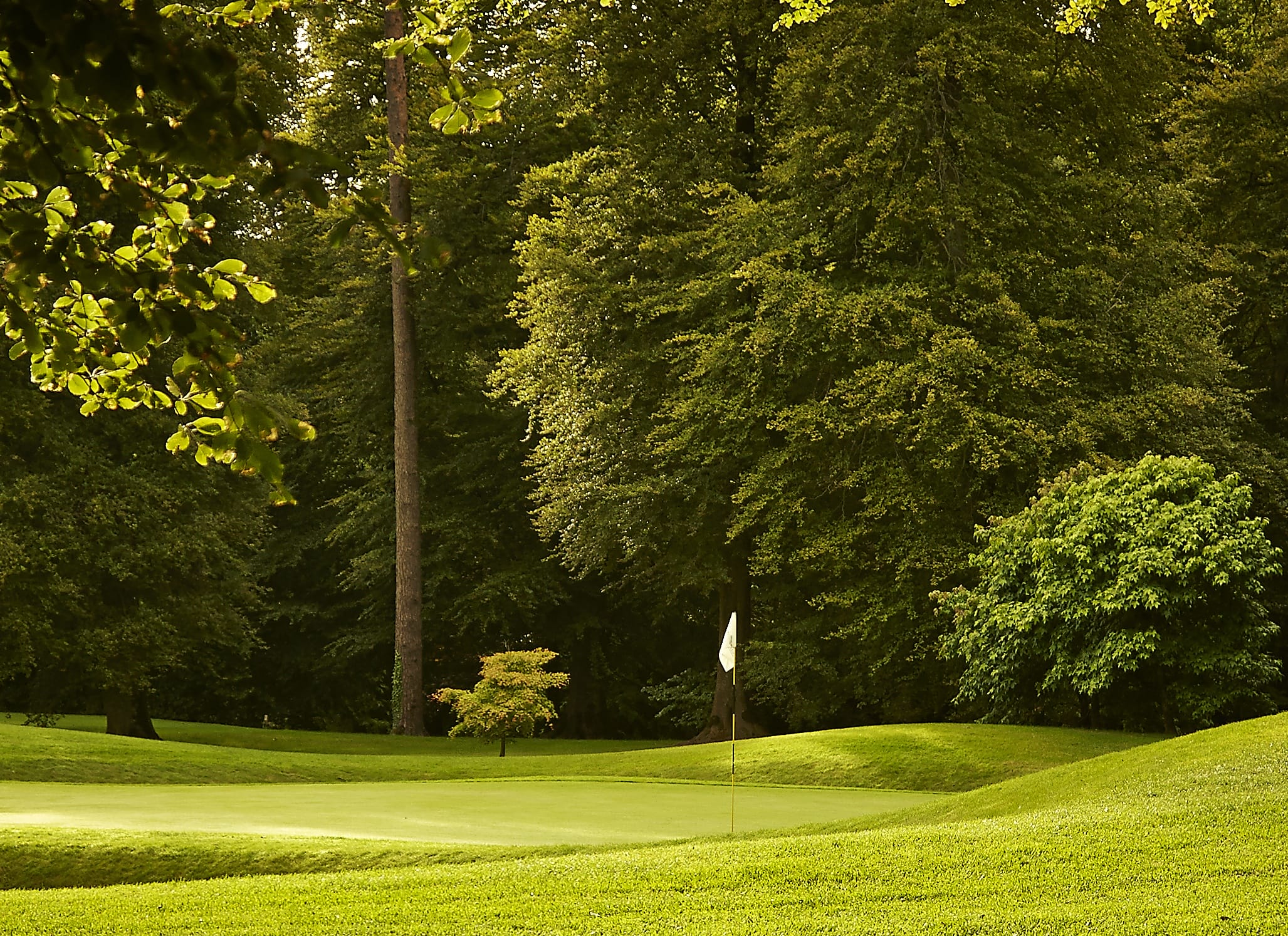 Overlooking a green, Mount Juliet Estate, Kilkenny, Ireland