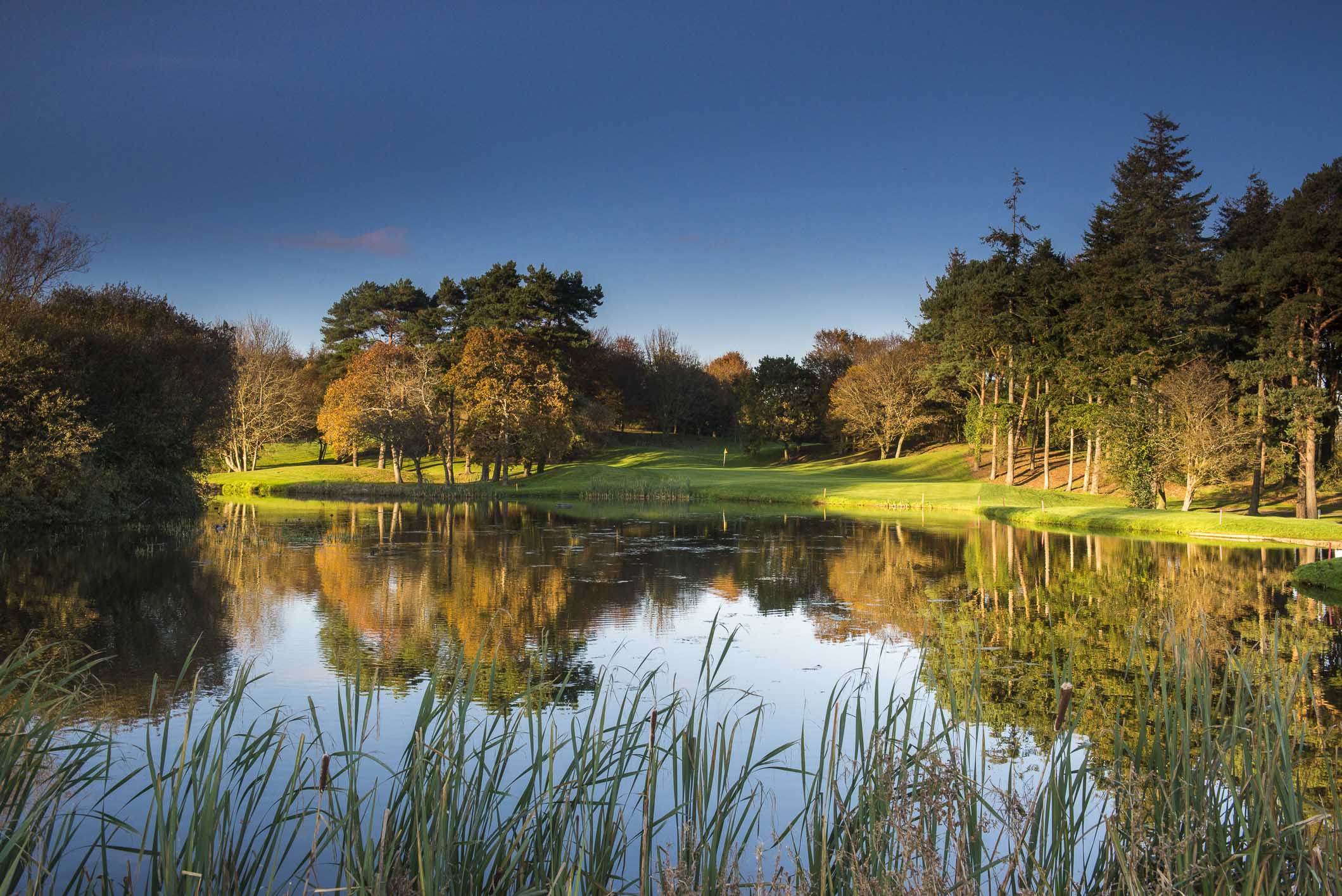 View of a lake and Druids Glen 15th approach, Druids Glen Golf Resort, Wicklow, Ireland