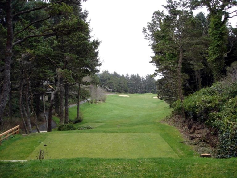 Image from the 17th tee looking down towards the fairway