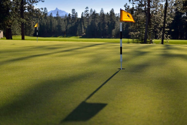 Closeup image of the practice putting green at the Black Butte Ranch, Oregon, USA