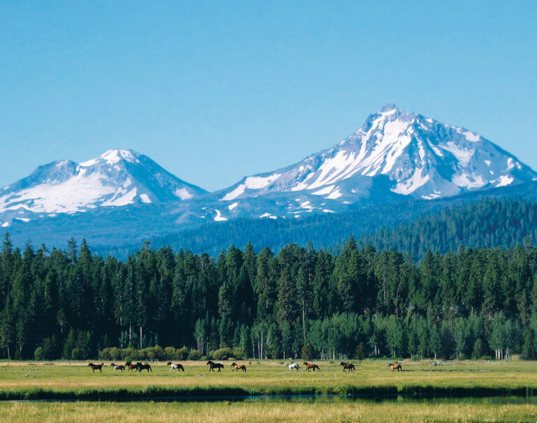 Image of horses on the ranch and distant Cascade Moutains, Black Butte Ranch, Oregon, USA