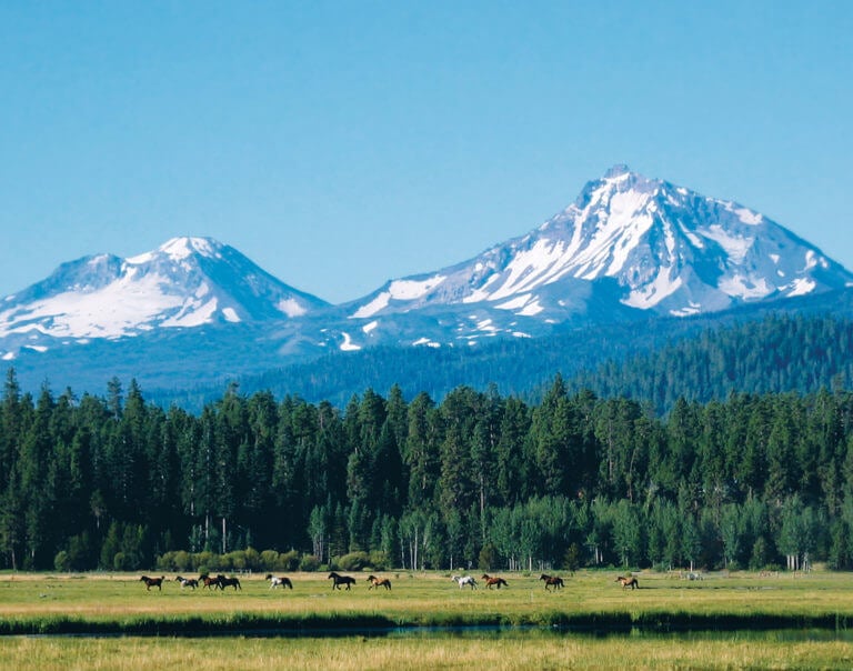 Image of horses on the ranch and distant Cascade Moutains, Black Butte Ranch, Oregon, USA