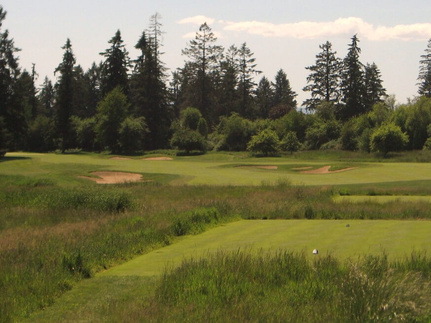 Image of long grass on the 9th hole on the Pumpkin Ridge Witch Hollow Golf Course, Oregon, USA