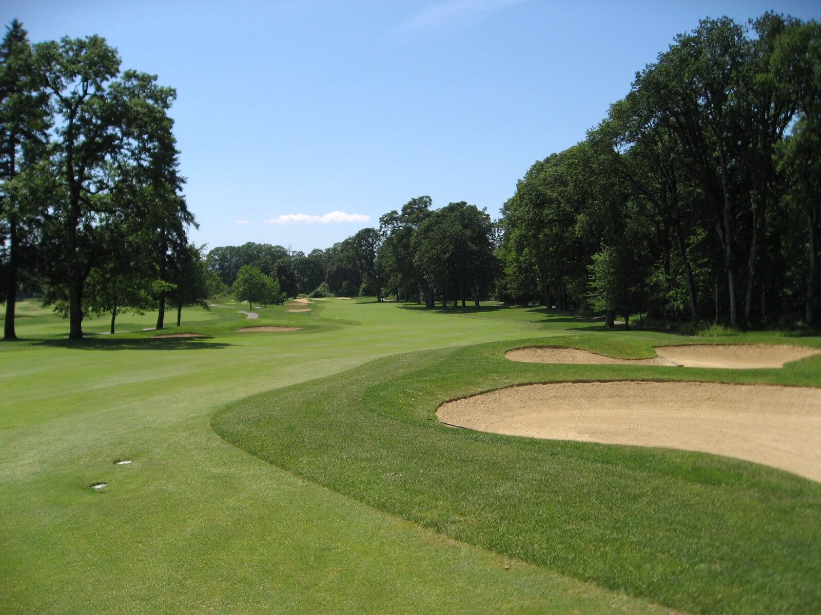 Image of the 7th fairway bunkers and dogleg left, Pumpkin Ridge Witch Hollow Golf Course, Oregon, USA