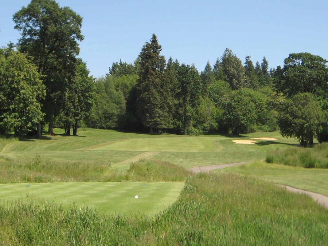Image depicting the view of the 3rd hole fairway from the tee boxes on the Pumpkin Ridge Witch Hollow Golf Course, Oregon, USA
