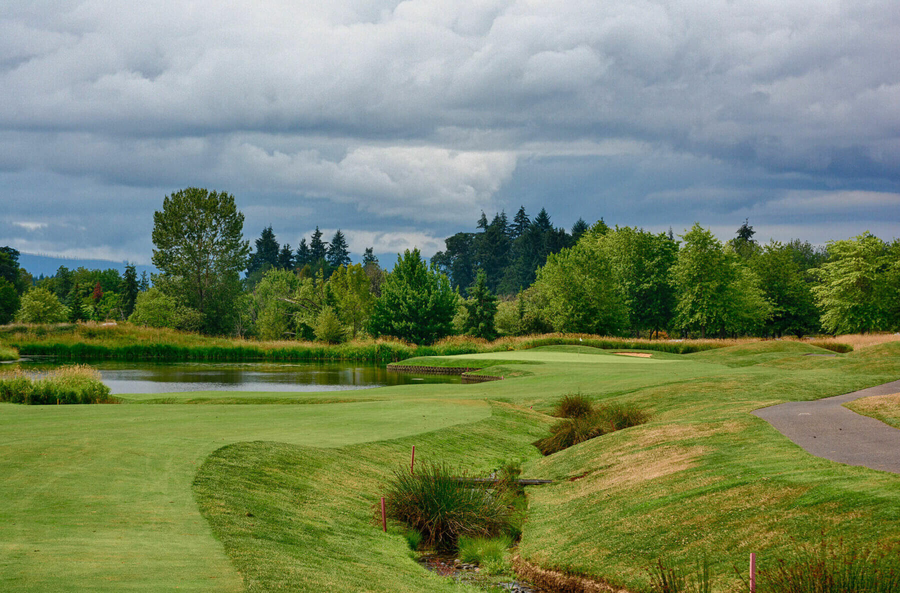 Overlooking a snaking par 4 on the Pumpkin Ridge Witch Hollow Golf Course, Oregon, USA