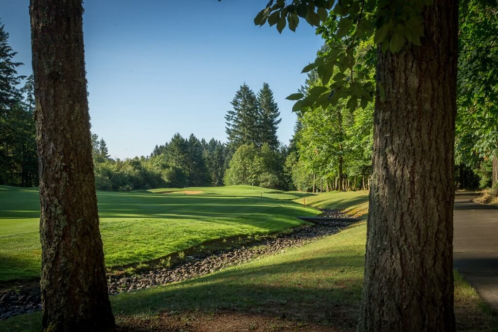 Image of a creek and forest on the Pumpkin Ridge Witch Hollow Golf Course, Oregon, USA