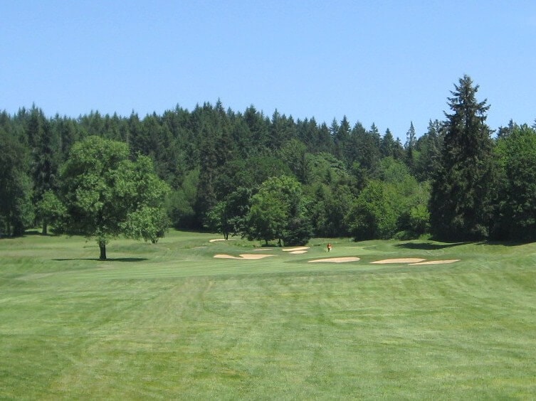 Image of the 1st fairway and surrounding fir forest at Pumpkin Ridge Witch Hollow Golf Course, Oregon, USA