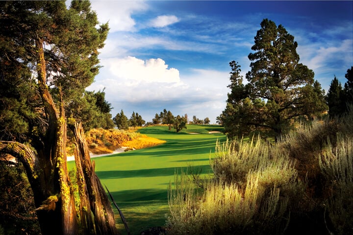 Image of the 12th fairway on the Pronghorn golf course designed by Tom Fazio, Pronghorn Golf Resort, Bend, Oregon, USA