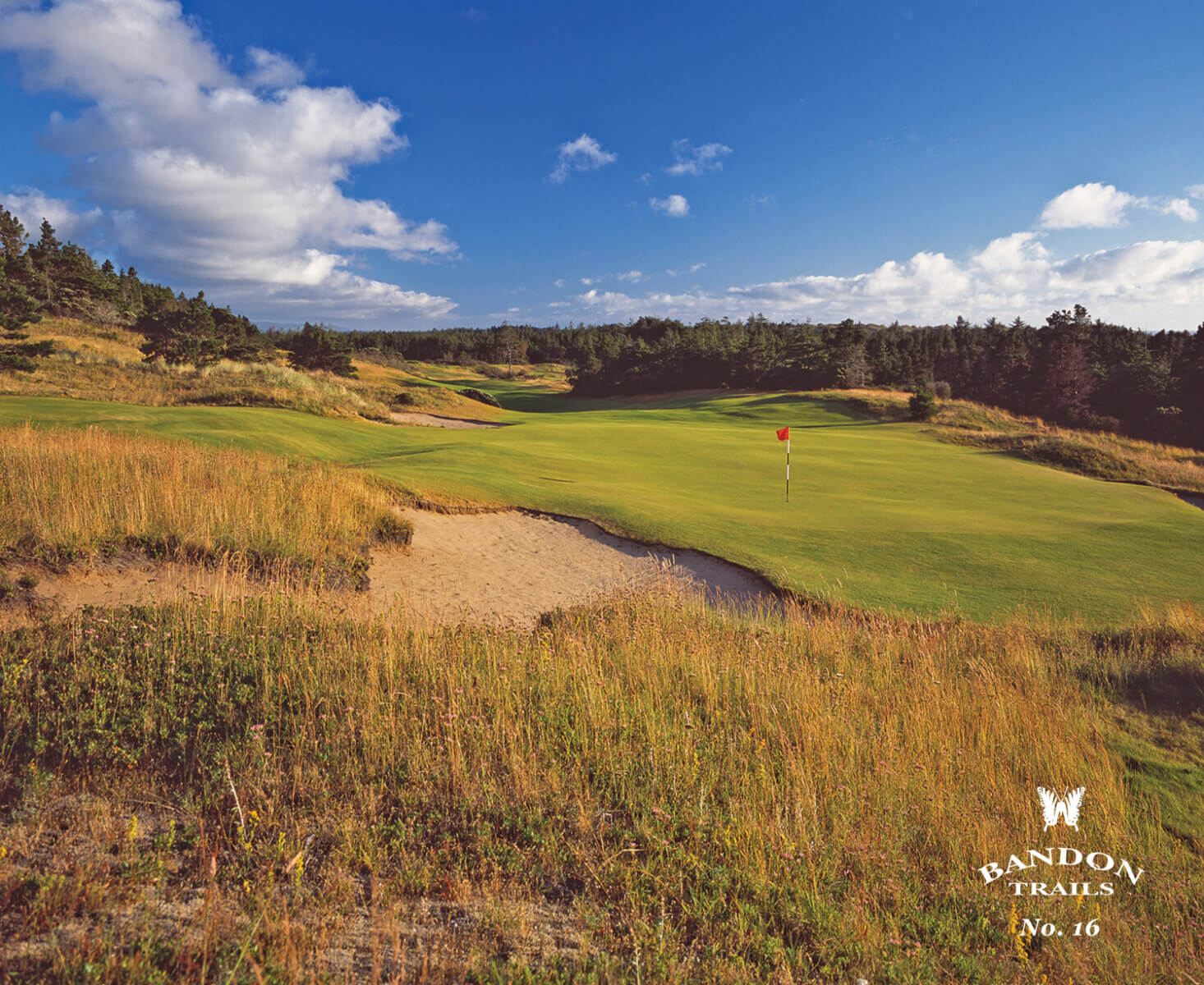 Looking down the 16th fairway at Bandon Trails Golf Course, Bandon Dunes Golf Resort, Oregon, USA
