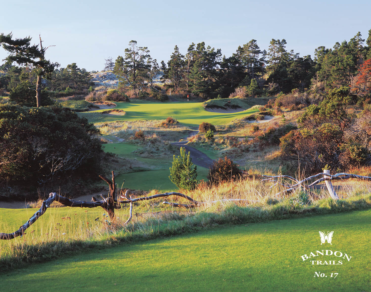 Overlooking the 17th hole and deep ravine in between, Bandon Trails Golf Course, Bandon Dunes Golf Resort, Oregon, USA