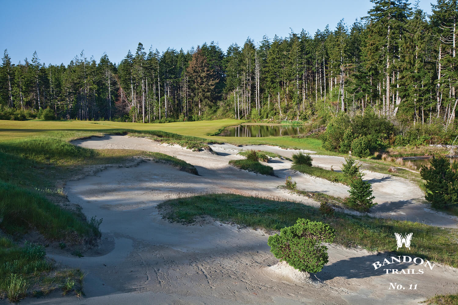 Depicting the large bunkers and sand pits on the 11th hole of the Bandon Trails Golf Course, Bandon Dunes Golf Resort, Oregon, USA