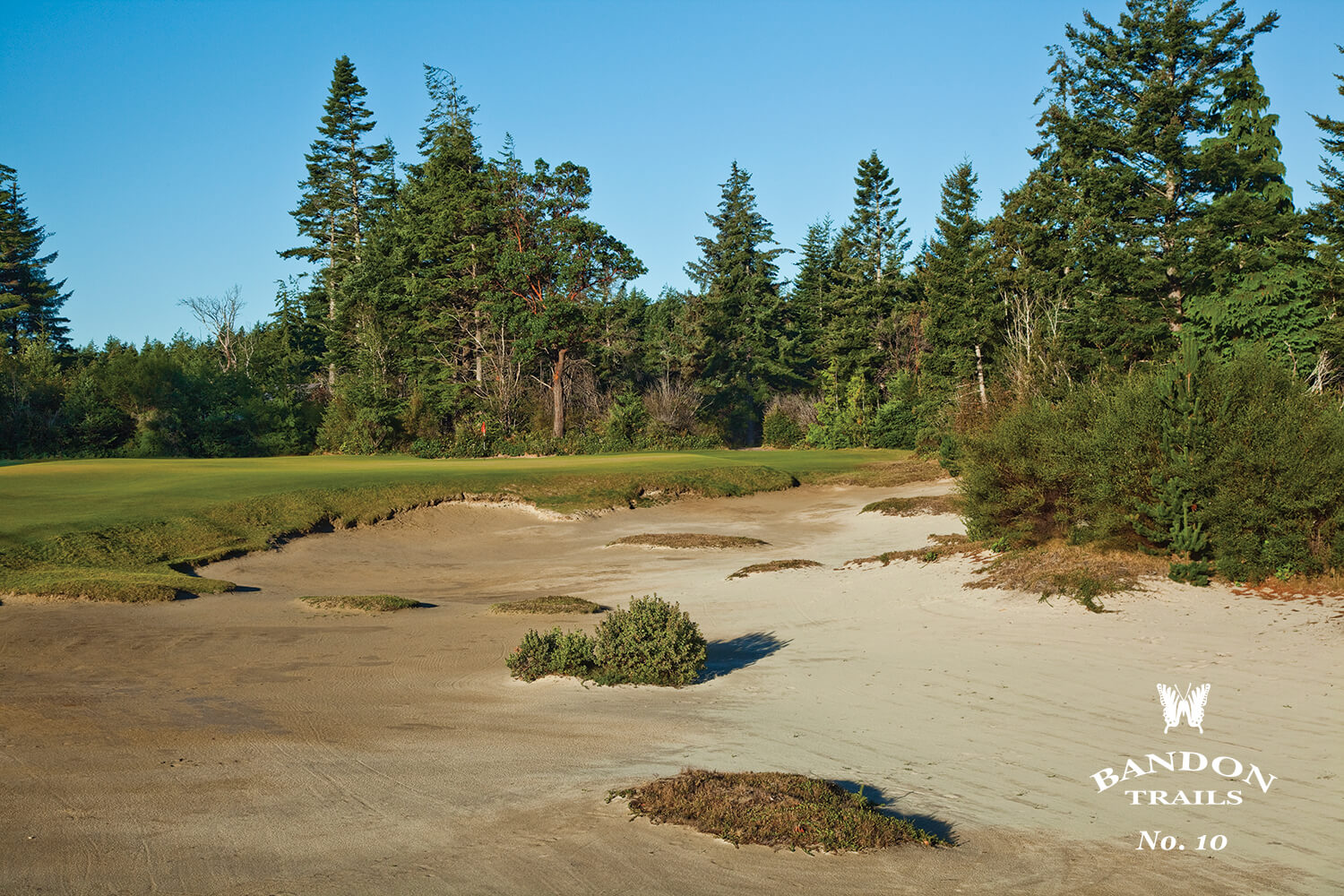 Overlooking the 10th hole bunkers at Bandon Trails Golf Course, Bandon Dunes Golf Resort, Oregon, USA