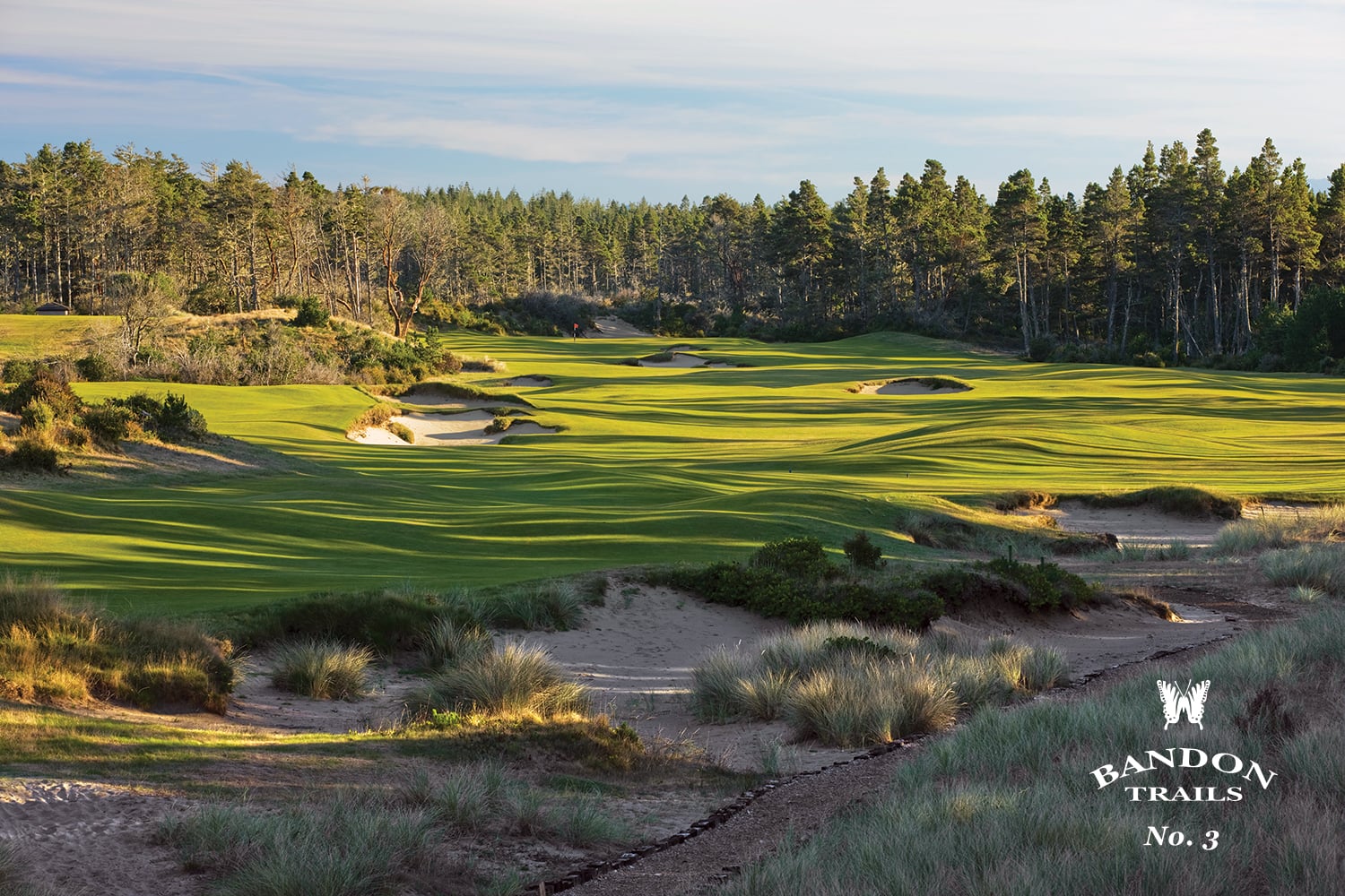 Image of the 3rd hole and sweeping forest, Bandon Trails Golf Course, Bandon Dunes Golf Resort, Oregon, USA