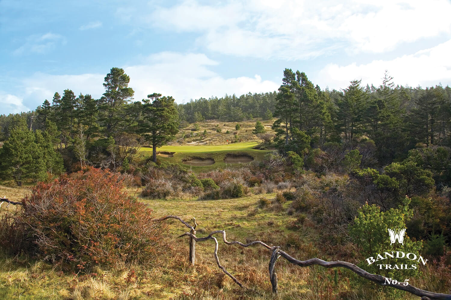 Overlooking a deep ravine on the 5th hole of the Bandon Trails Golf Course, Bandon Dunes Golf Resort, Oregon, USA