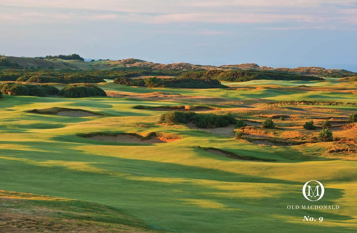 Overlooking the undulating hills on the 9th hole, Old Macdonald Golf Course, Bandon Dunes Golf Resort, Oregon, USA