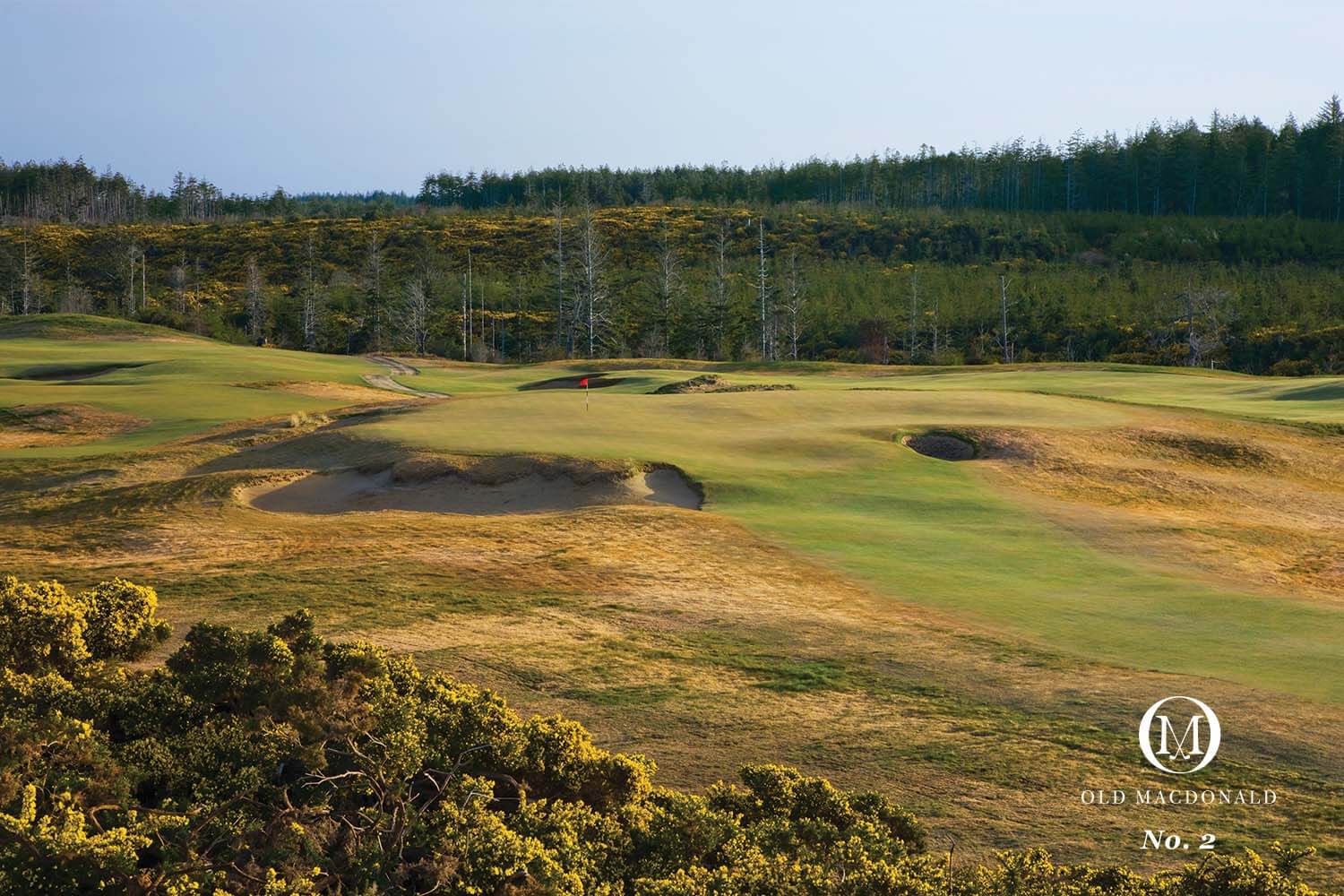 Image of the 2nd hole and distant forest on the Old Macdonald Golf Course, Bandon Dunes Golf Resort, Oregon, USA