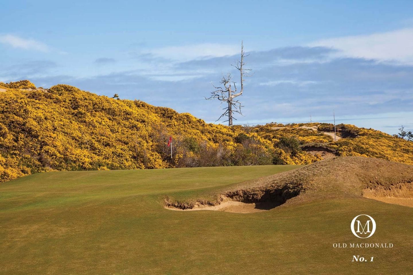 Bandon Dunes Old Macdonald Golf Course Oregon, USA Voyages.golf