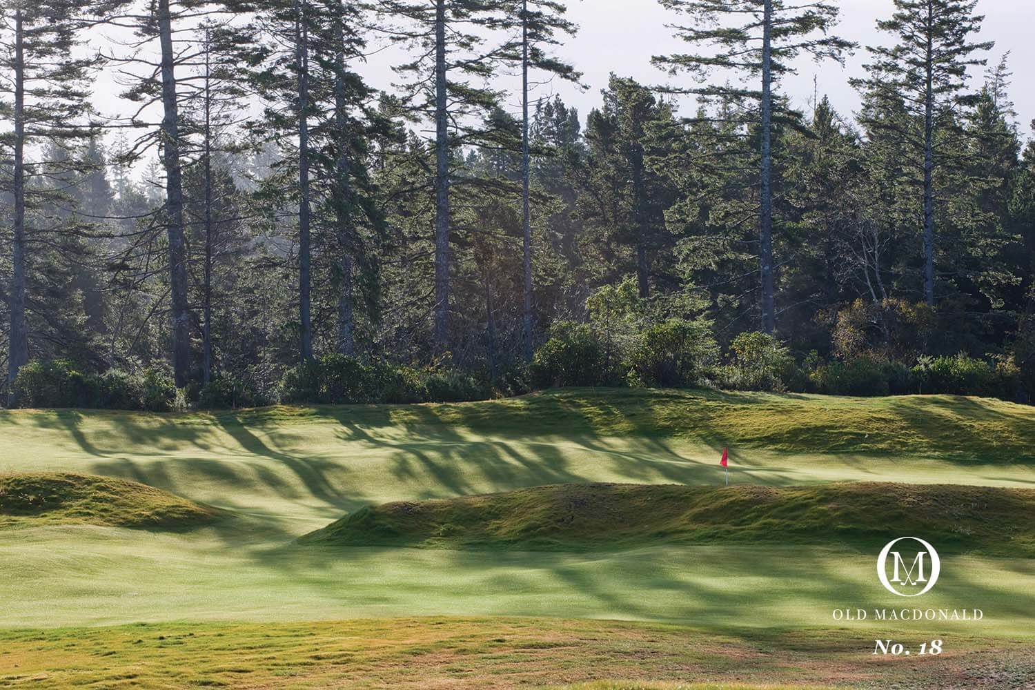 Overlooking the 18th hole and surrounding forest at Old Macdonald Golf Course, Bandon Dunes Golf Resort, Oregon, USA