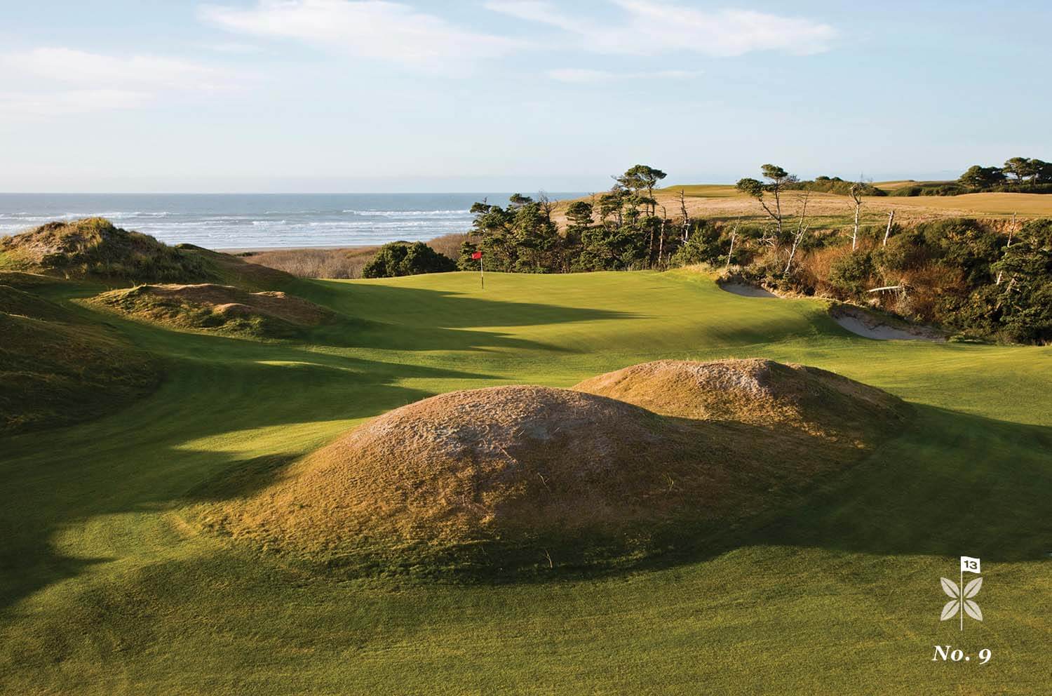 Overlooking the natural undulating hills of the Bandon Preserve, Bandon Preserve Golf Course, Bandon Dunes Golf Resort, Oregon, USA