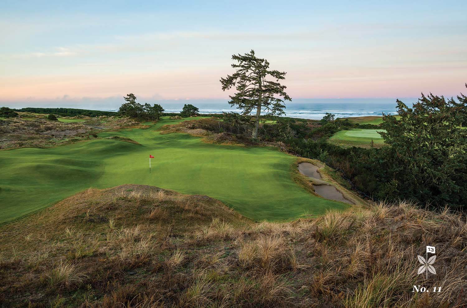 Overlooking the 11th hole and lone tree looking out to the Pacific Ocean,Bandon Preserve Golf Course, Bandon Dunes Golf Resort, Oregon, USA