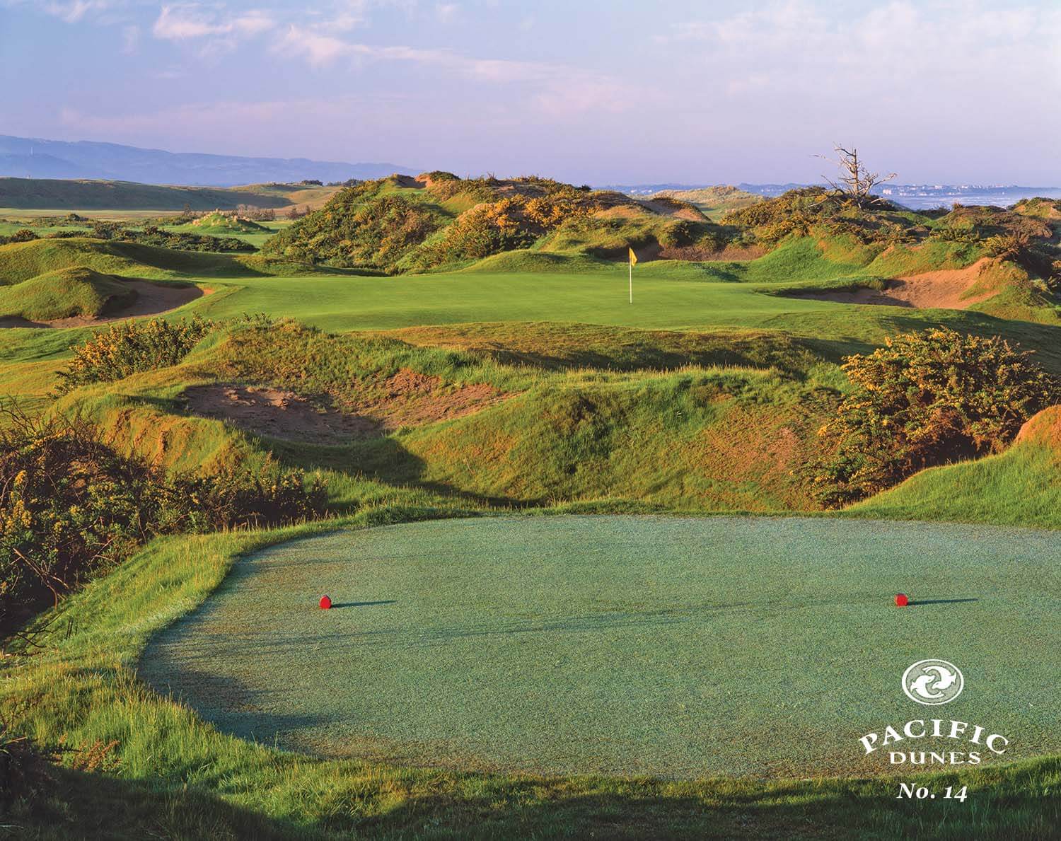Image looking straight up the 14th par 3 hole over a ravine, Pacific Dunes Golf Course, Bandon Dunes Golf Resort, Oregon, USA