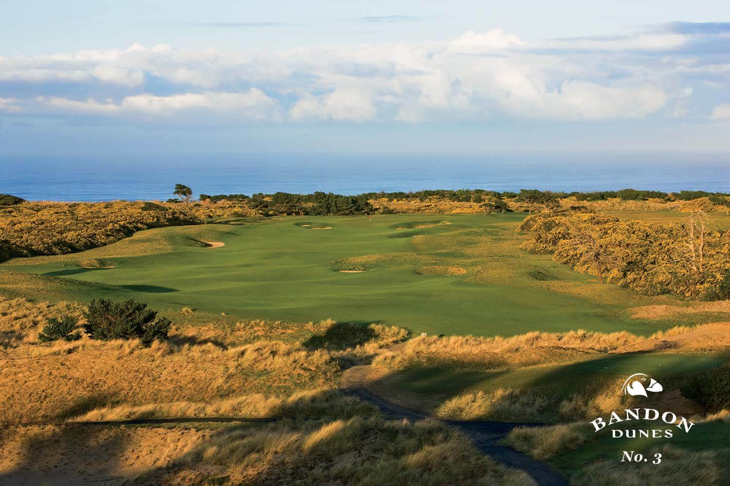 Depicting the 3rd hole fairway on the Bandon Dunes Golf Course, Bandon, Oregon, USA