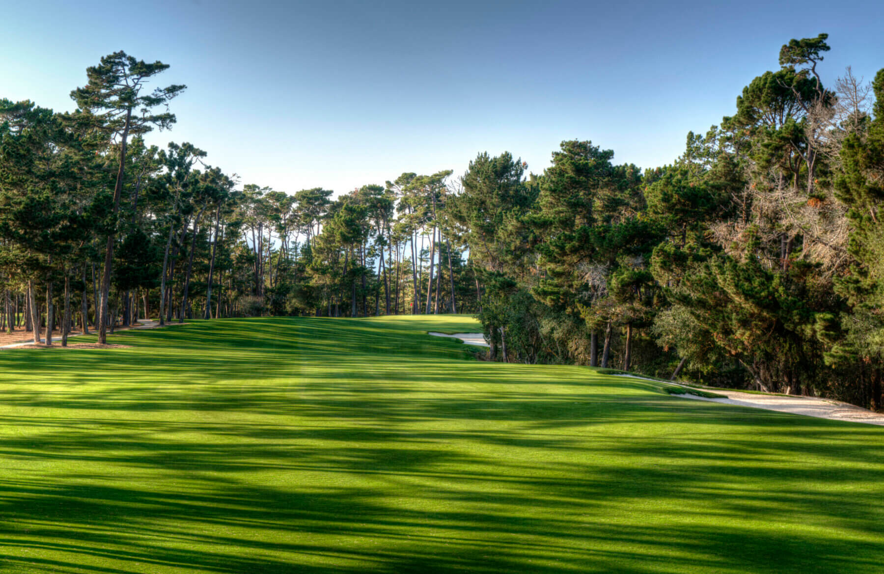 Image looking up the hill on the 1st hole at Poppy Hills Golf Course, Pebble Beach, USA