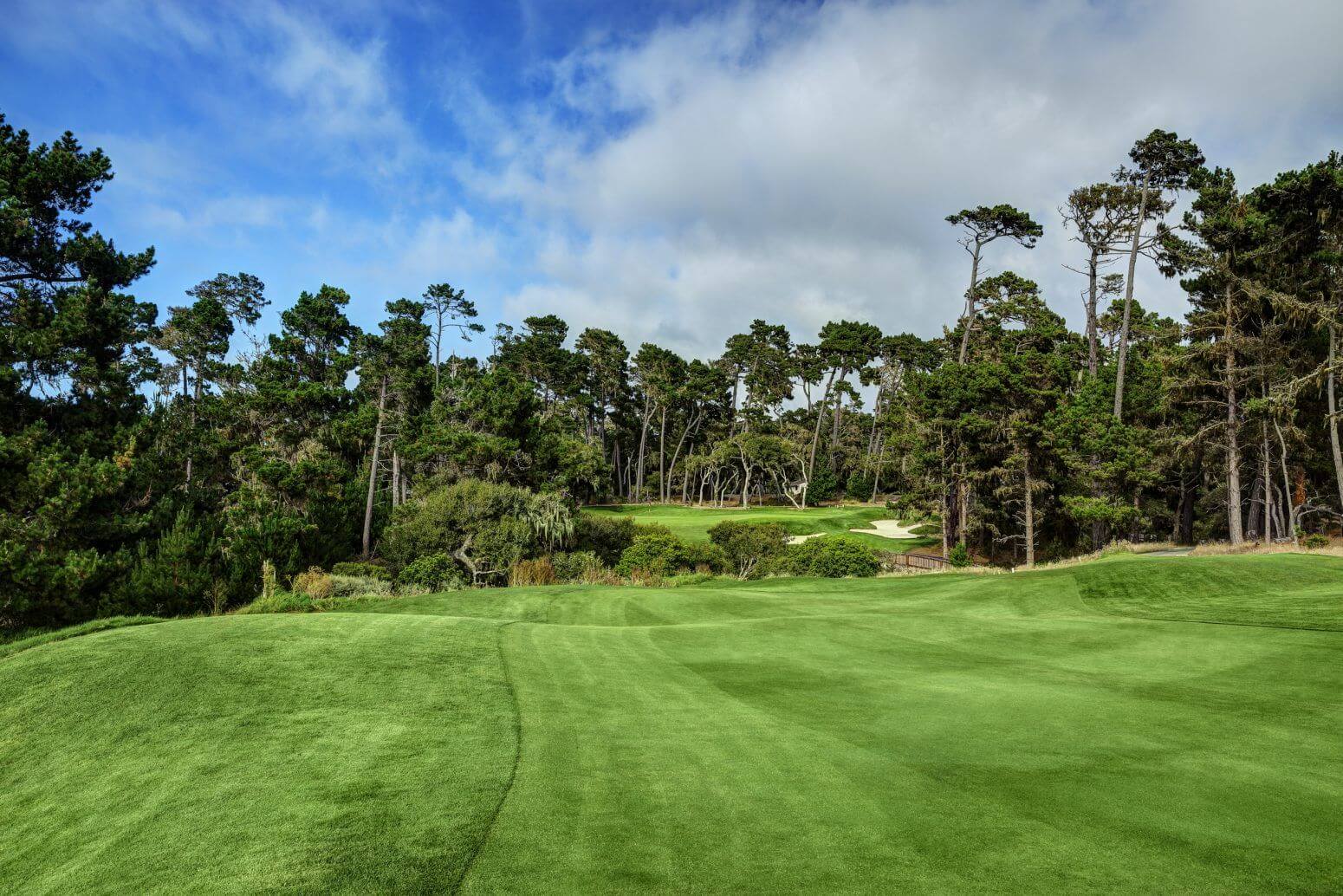 Image of the green contours of the golf course at The Links at Spanish Bay, Pebble Beach, California, USA