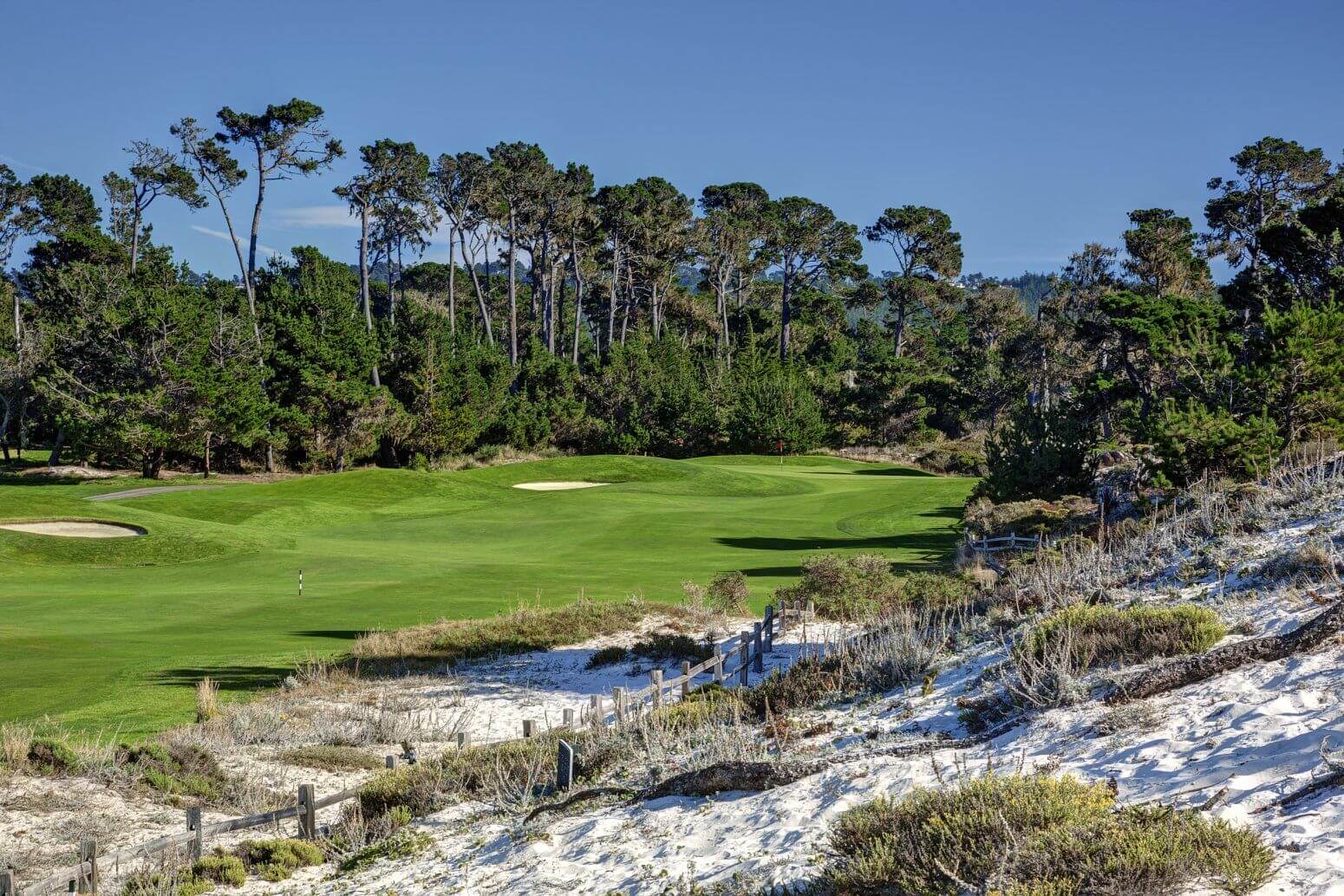 Image showing the different types of terrain on the golf course at The Links at Spanish Bay, Pebble Beach, California, USA