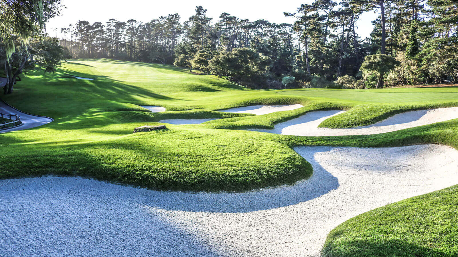 Image of the 12th hole at spyglass Hill Golf Course at Pebble Beach