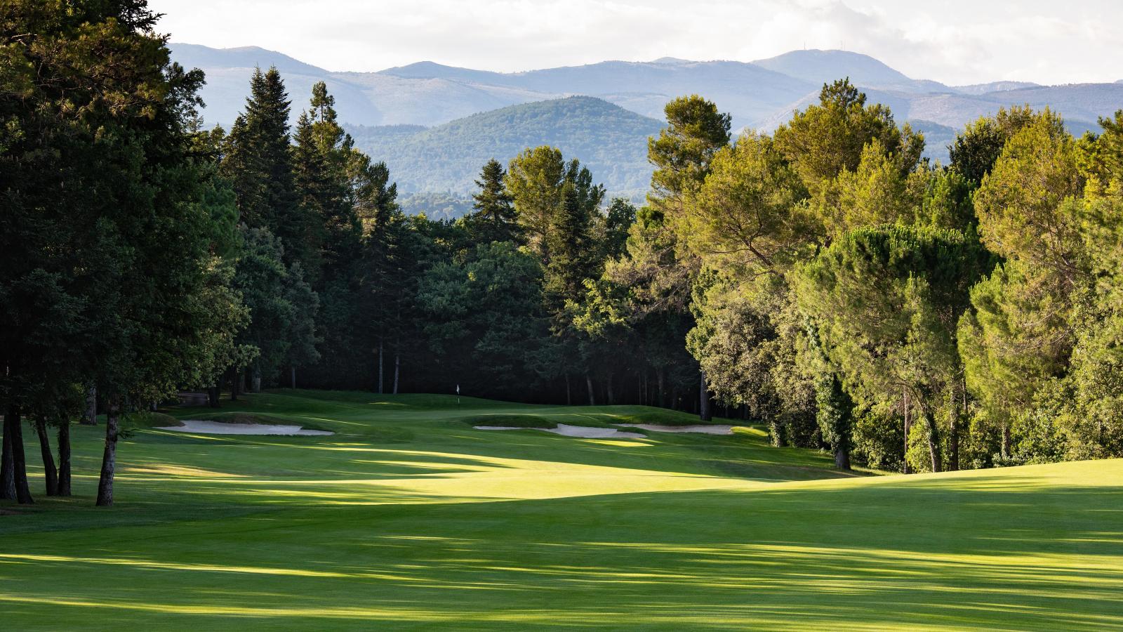 Image of a green surrounded by trees, Terre Blanche Golf Resort, Tourrettes, France