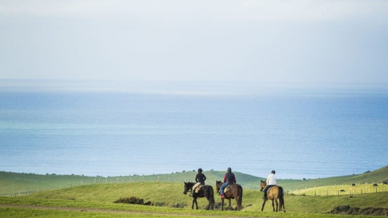 The view during a horse riding tour, Cape Kidnappers, Hawke's Bay, New Zealand