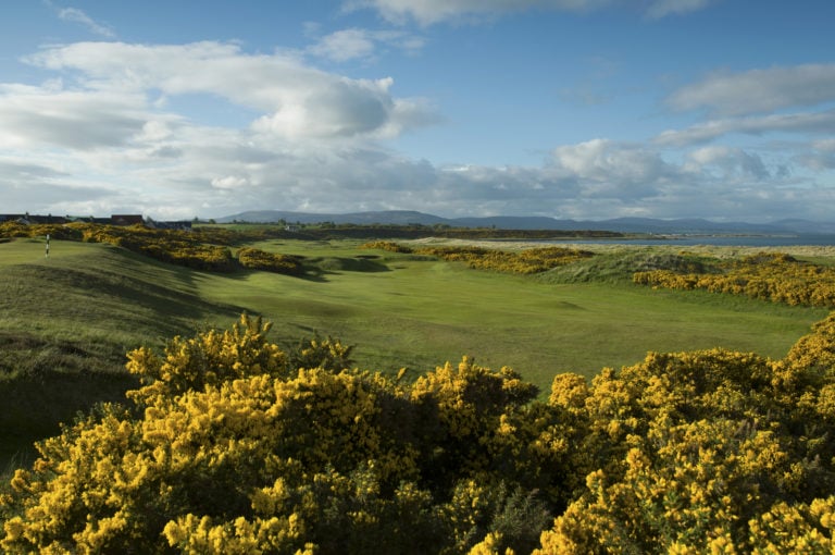 Image of the 7th hole on the Championship course and gorse bushes at Royal Dornoch Golf Club, Scotland