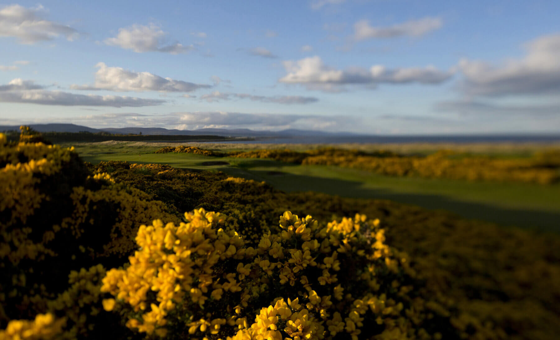 Image depicting the par-4 17th hole at Royal Dornoch Golf Club, Scotland