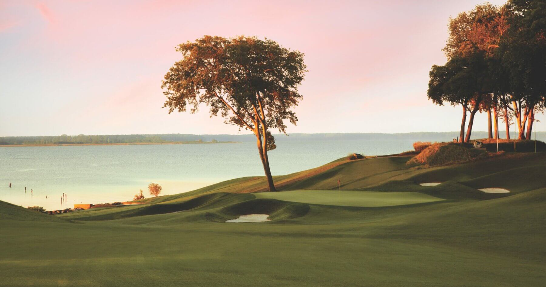 Image displaying a lone tree by a green at Kingsmill Resort, Williamsburg Virginia, USA