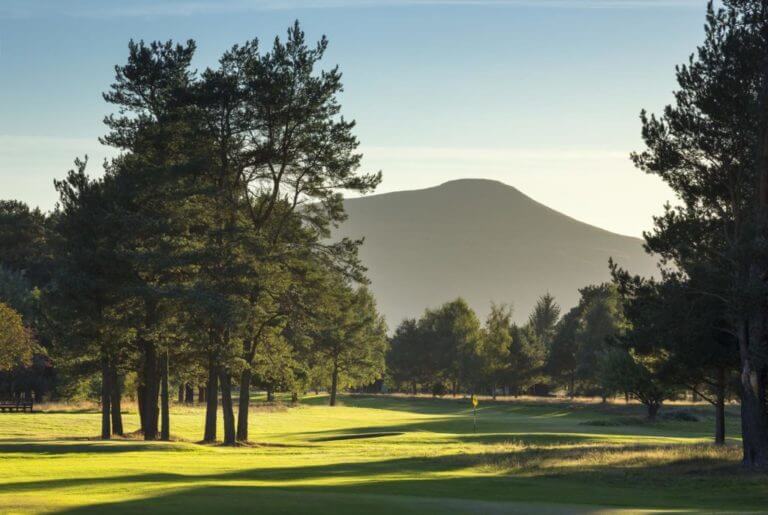 Image of towering trees and a distant hill at Ladybank Golf Club, Fife, Scotland