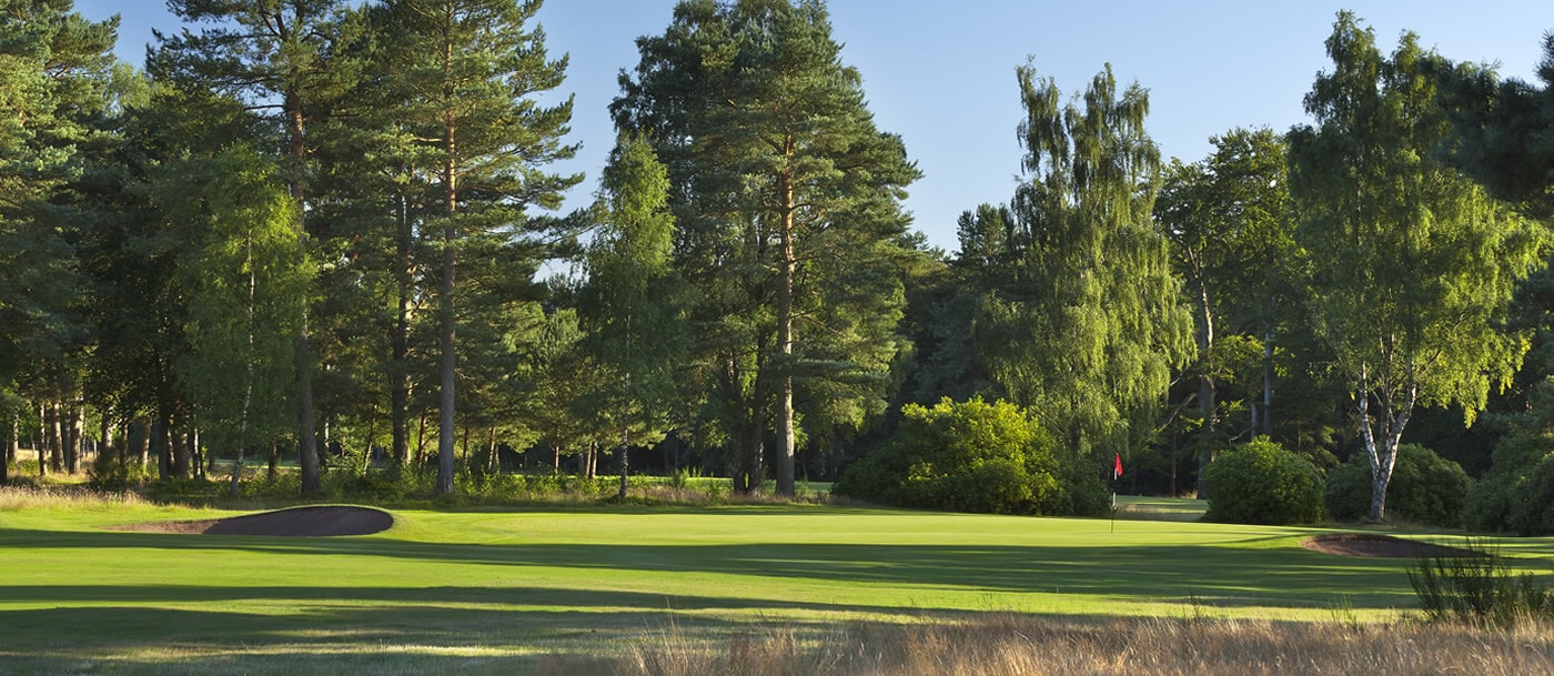 Image of towering trees over the 3rd green at Ladybank Golf Club, Fife, Scotland