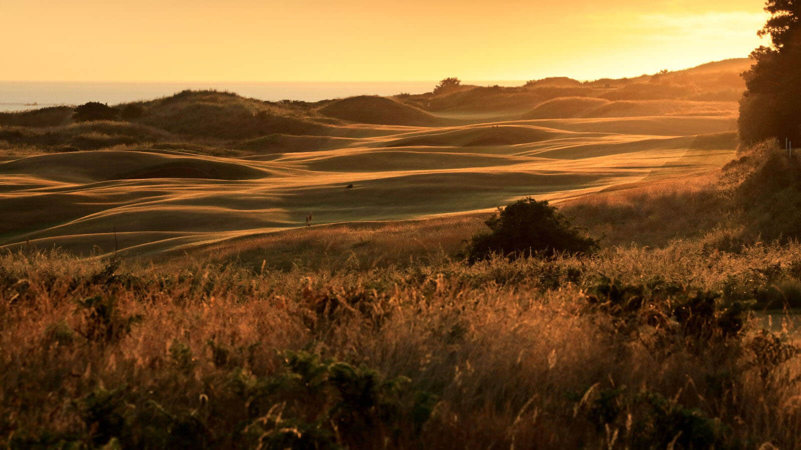 Image depicting the undulating fairway of the 3rd hole at Royal Portrush Dunluce Golf Course, Portrush, County Antrim, Northern Ireland