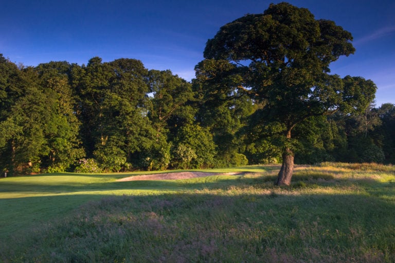 Image of a large tree next to the 10th green on the parkland golf course at Galgorm Resort, County Antrim, Northern Ireland