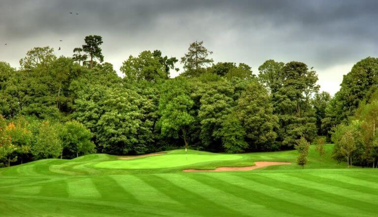 Image of the 13th green and surrounding trees at Wolseley Resort, County Carlow, Ireland, Europe