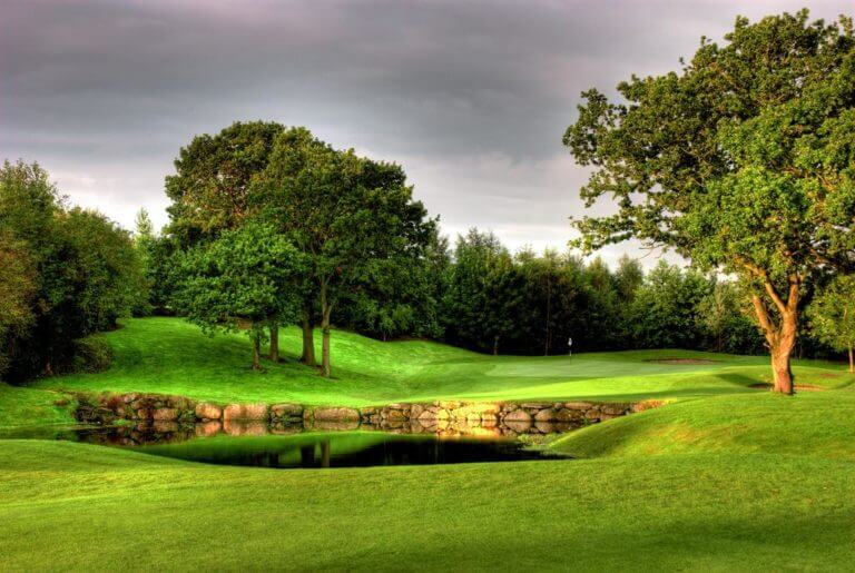 Image of a lake protecting a green on the golf course at Wolseley Resort, County Carlow, Ireland, Europe