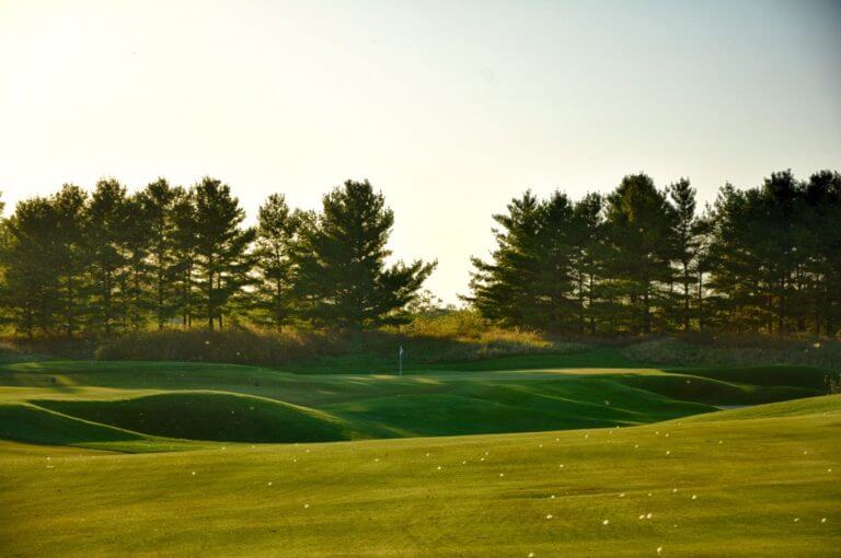 Image of trees behind the 6th green on the Blackwolf Run Meadow Valleys Golf Course, Destination Kohler, Wisconsin, USA