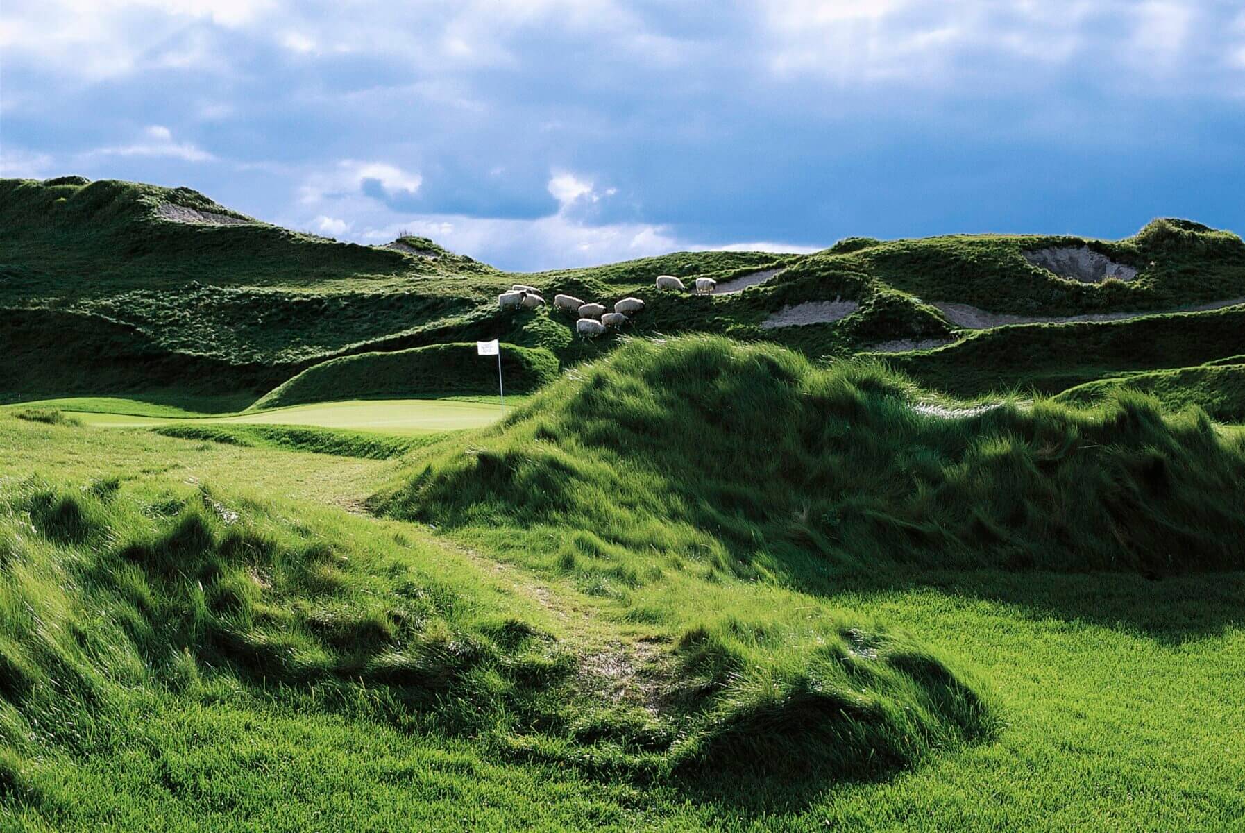 Image of the green and flag on the 11th hole of the Irish Golf Course, Destination Kohler, Wisconsin, USA