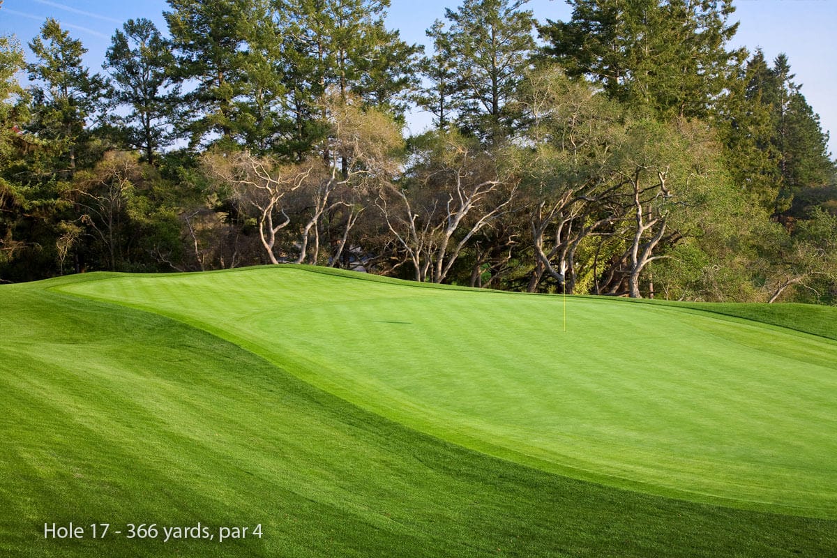 Image of immaculate fairways and tall trees on the 17th hole at Pasatiempo Golf Course, California, USA