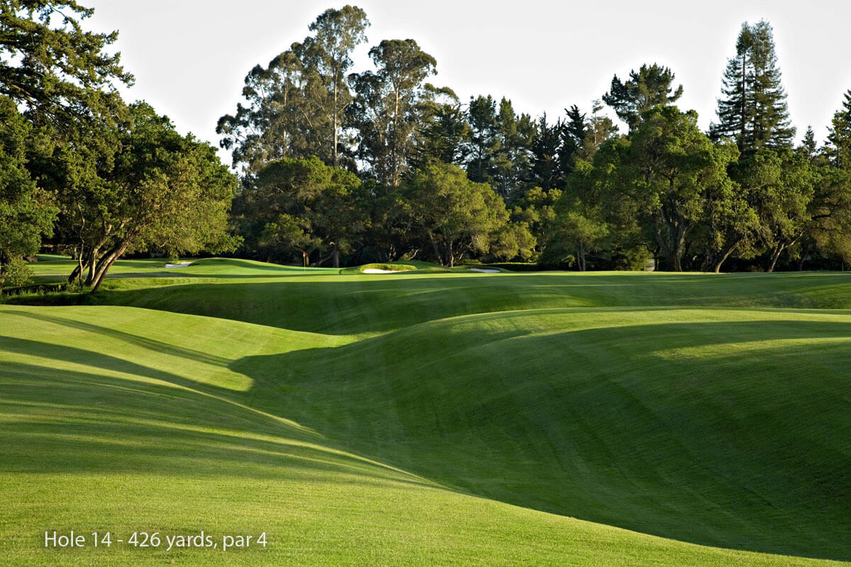 Image displaying a deep ravine and surrounding forest on the 14th hole at Pasatiempo Golf Course, California, USA